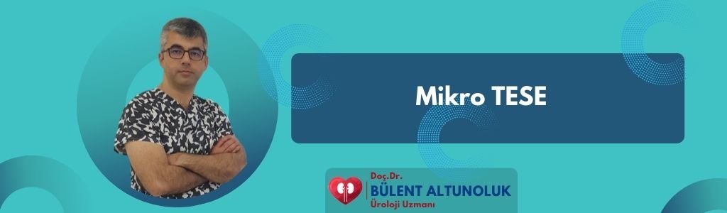 Mikro TESE